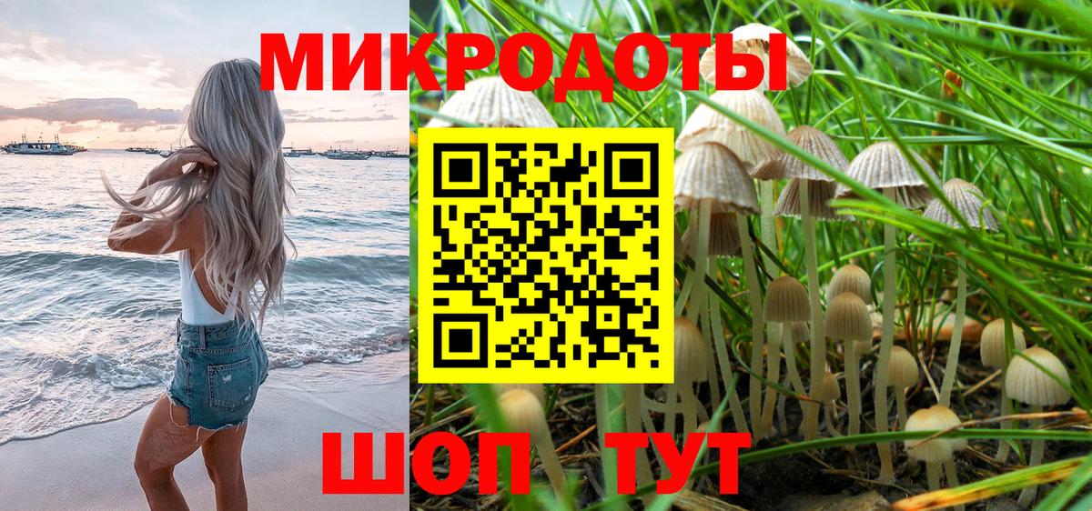 Псилоцибиновые грибы мухоморы Иваново